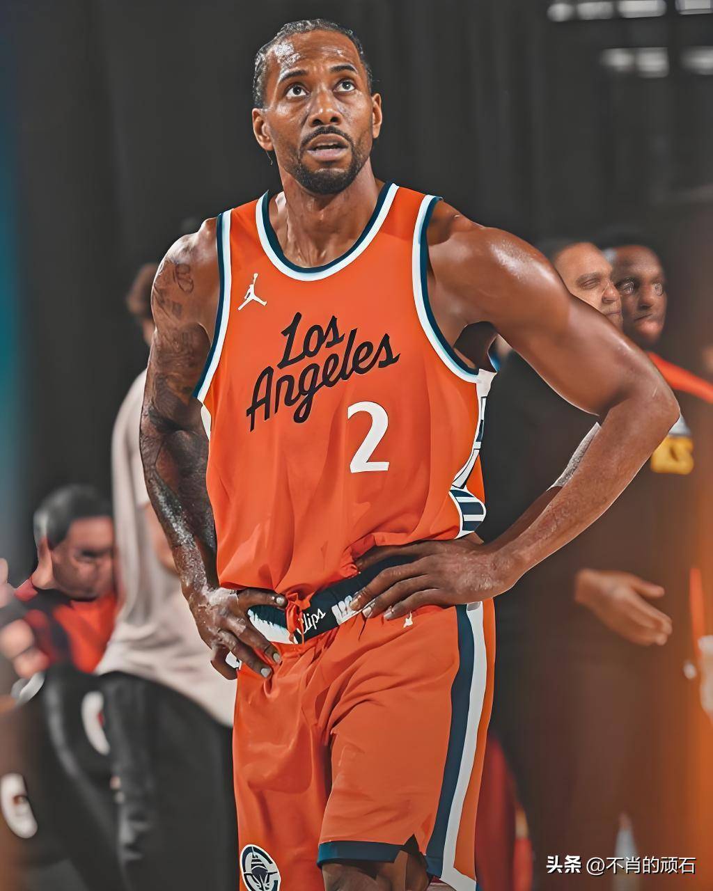 顿的反击野 顿的反击野